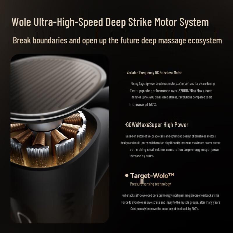 Wole Mini Fascia Massage Gun