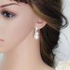 Temperament Earrings, Pearl Zircon Earrings, Long Earrings.