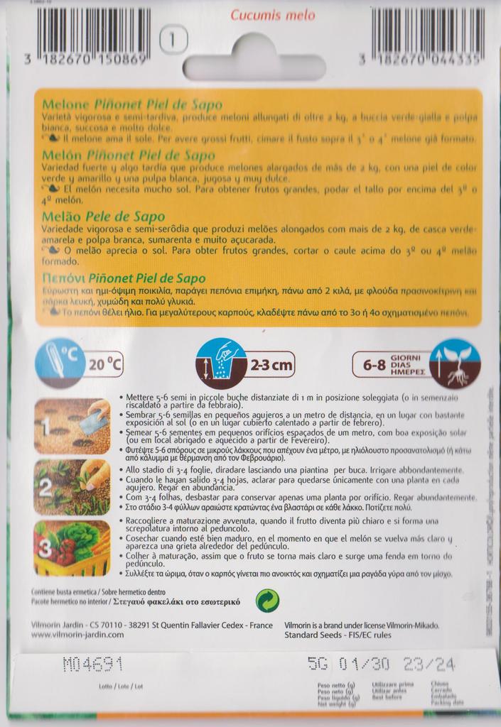 Piel de Sapo Pinonet Melounová semínka