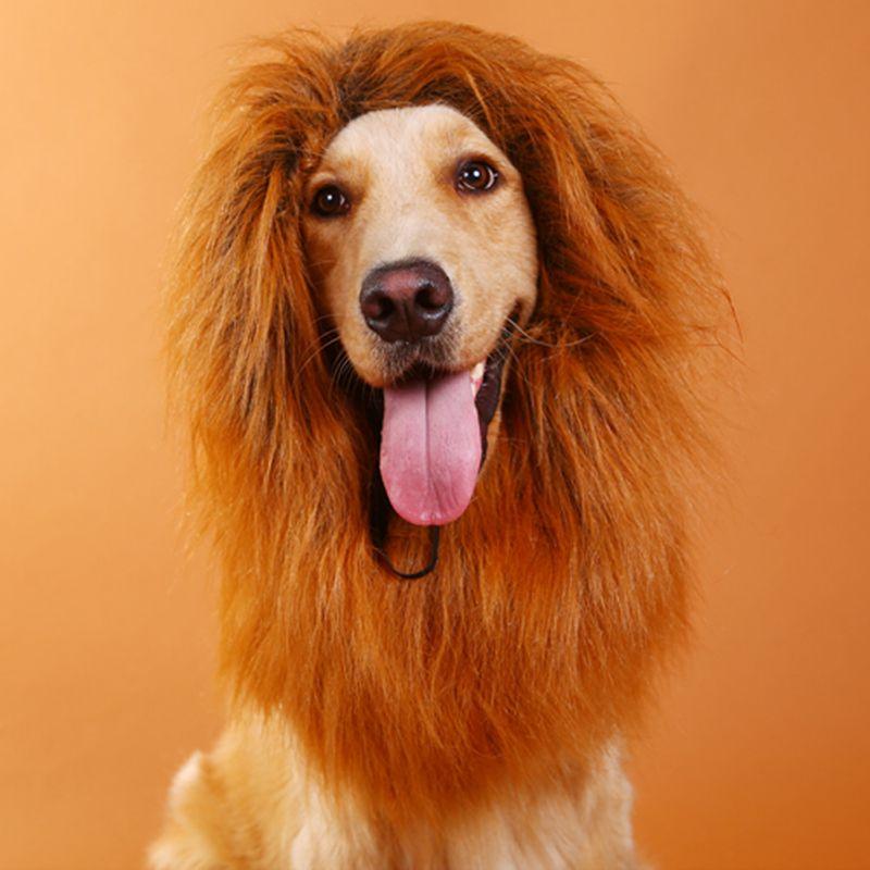 Fancy Pet Costume Lion Mane Wig For Cats And Dogs Premium Quality Halloween Cosplay