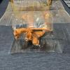 [USED] Pokemon Action Figure Charizard