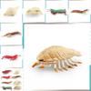 Underwater Animal Pvc Pipi Shrimp And Crab Sculptures Pack With Lifelike Marine Creatures For Aquarium Display