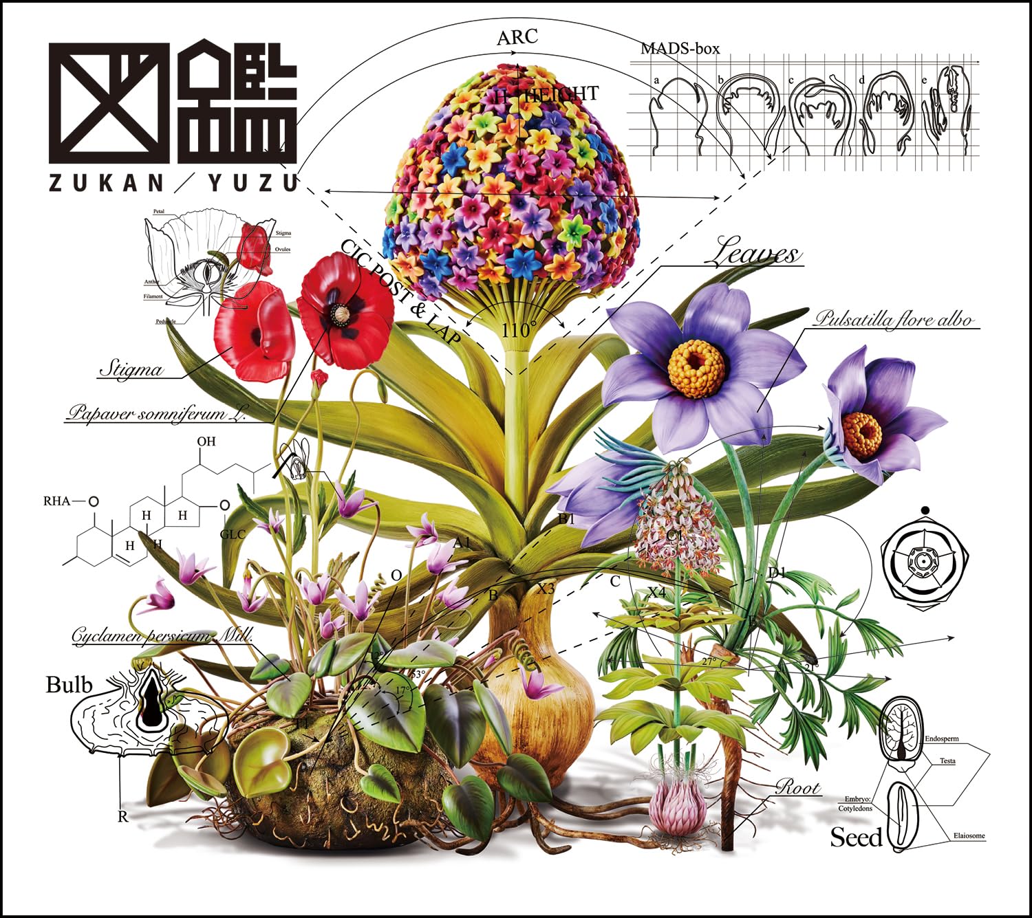 

Illustrated book production limited (first edition) (CD+DVD)