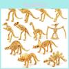 Dinosaur Skeleton Model Set For Kids And Collectors Pvc Construction Kit