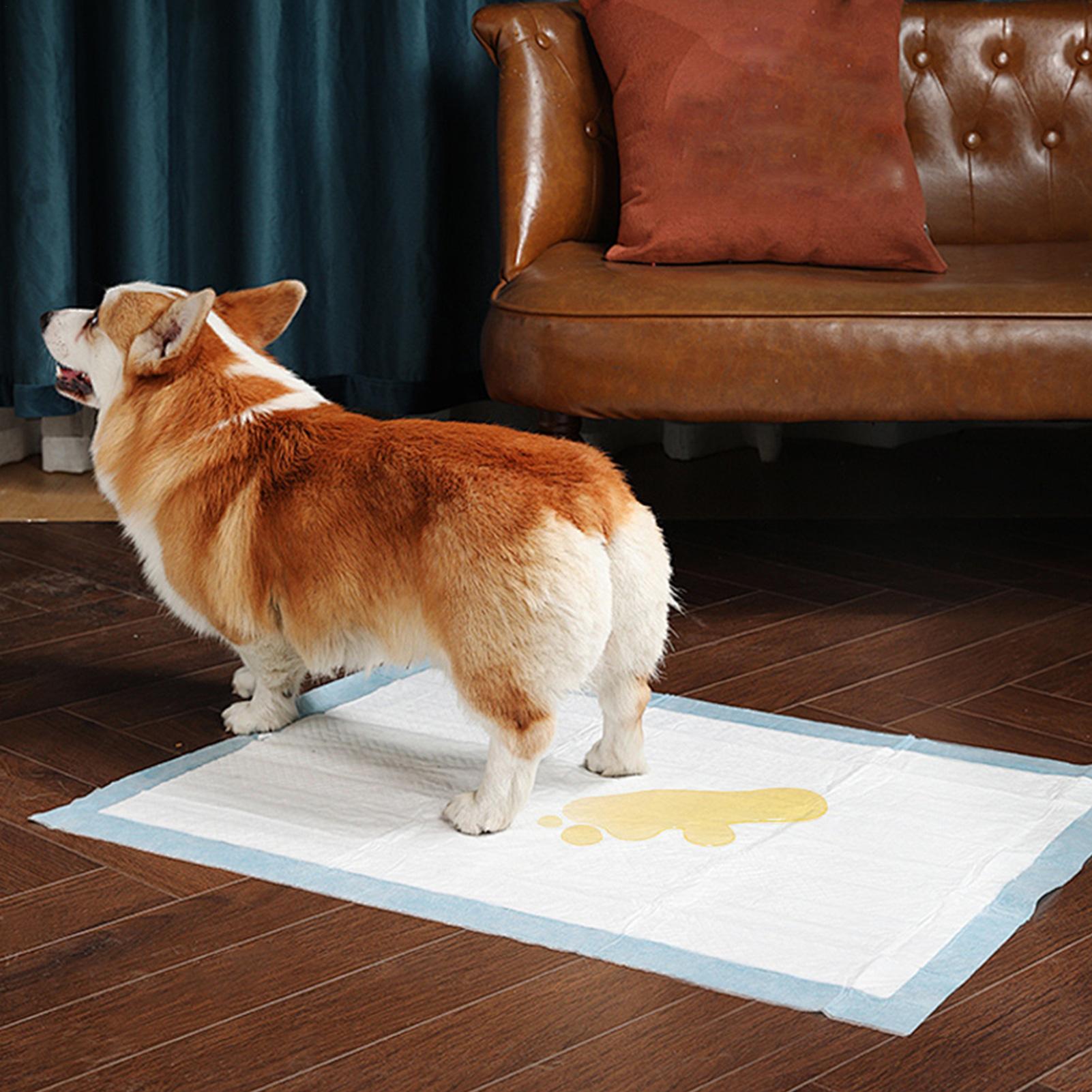 Puppy Potty Training Pads 100Pcs Odor Eliminating Puppy Pads Ultra Absorbent Potty Training Housebreaking Pet Supplies CN