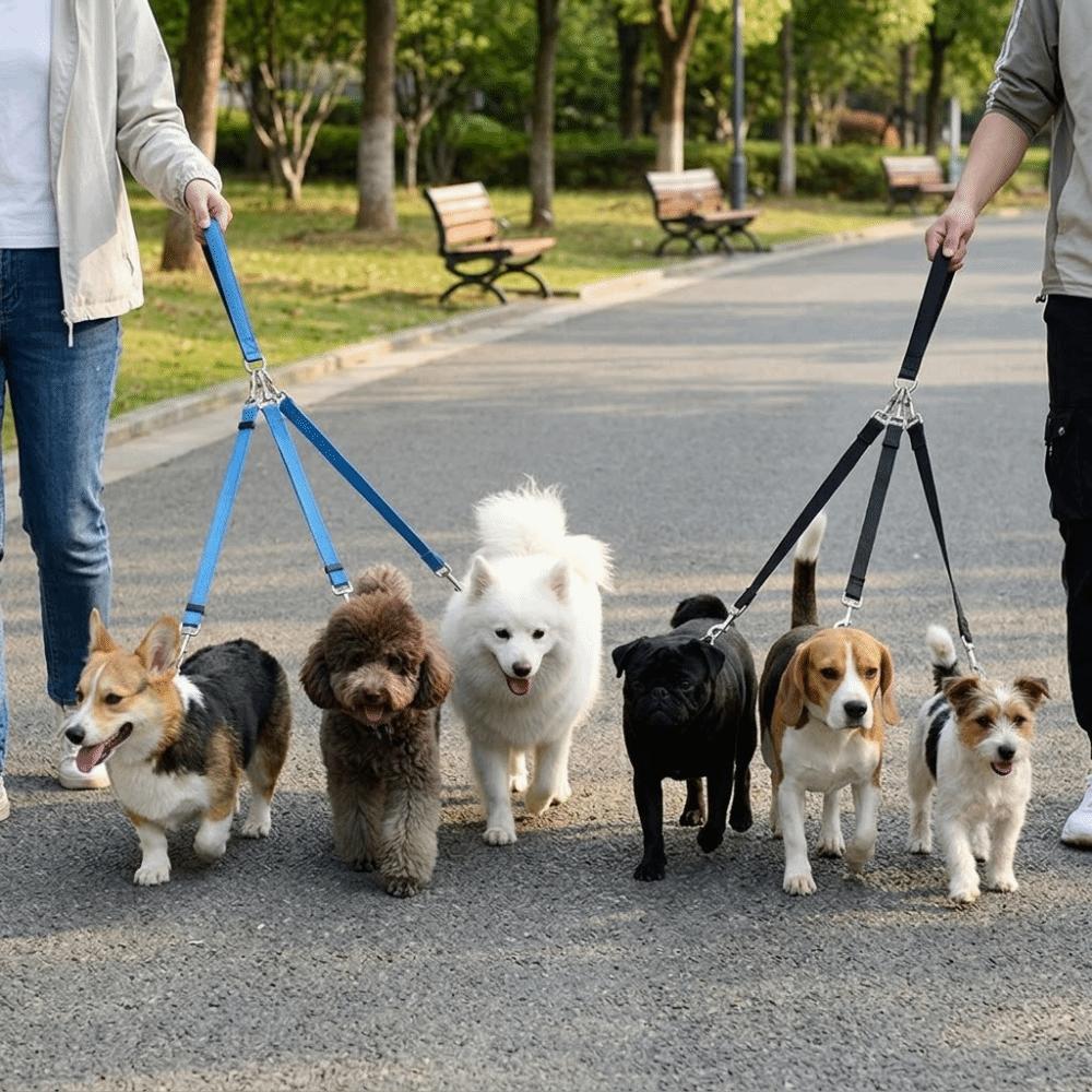 Strong Stitching Three Way Dog Leash Nylon Fabric Dog Split Leash Dog Triple Leash Park Travel