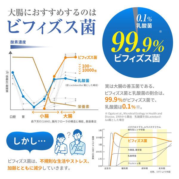 Morinaga Live Bifidobacterium BB536 Supplement - 30 Capsules (30-Day Supply) S2272