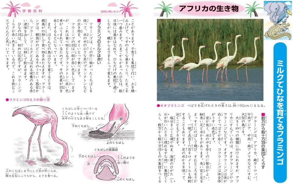 Showa Notebook Japonica Japanese Language B5 12-Line 5-Pack JL-11-15