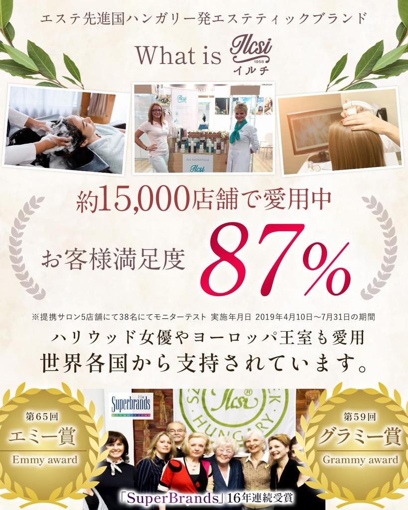 HELENA KIRAY Hair Brush Paddle Brush of carefully selected boar bristles and natural wood x Makes even curly hair shiny and gold L [Made smooth] (Pink