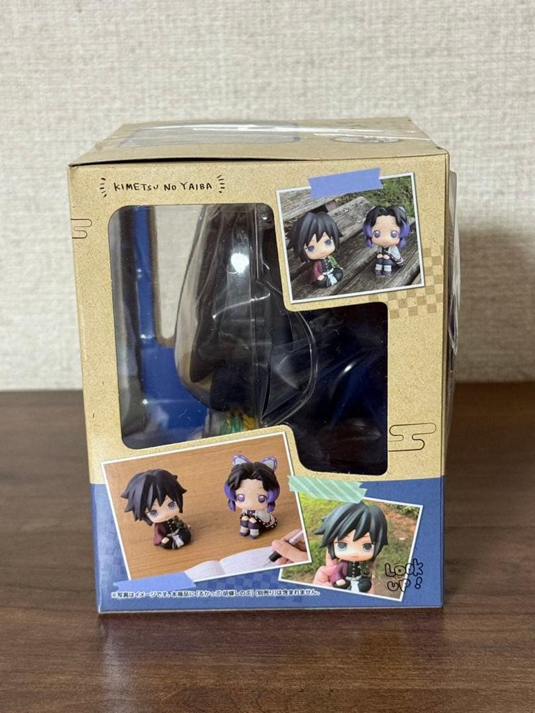[USED] Demon Slayer: Kimetsu no Yaiba Look Up Tomioka Giyu (with bonus item)