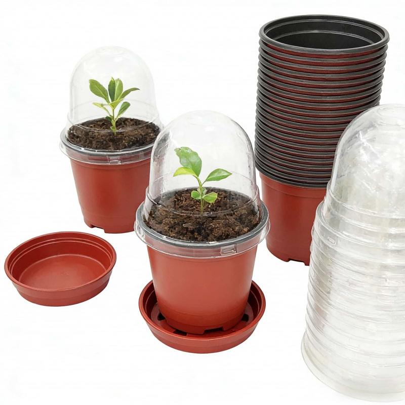 Plant Nursery Pot20-40Personal Reusable Moisturizing Breathable Round Transparent Lid Seedling Tray Planting Tool