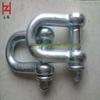 Available: 3.3T National Standard D-type & U-type Lifting Shackle, Lifting Snap Hook