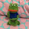 Creative Pepe Sad Frog The Frpg Wire Stuffed Animal Gift Plush Toy With Premium Quality