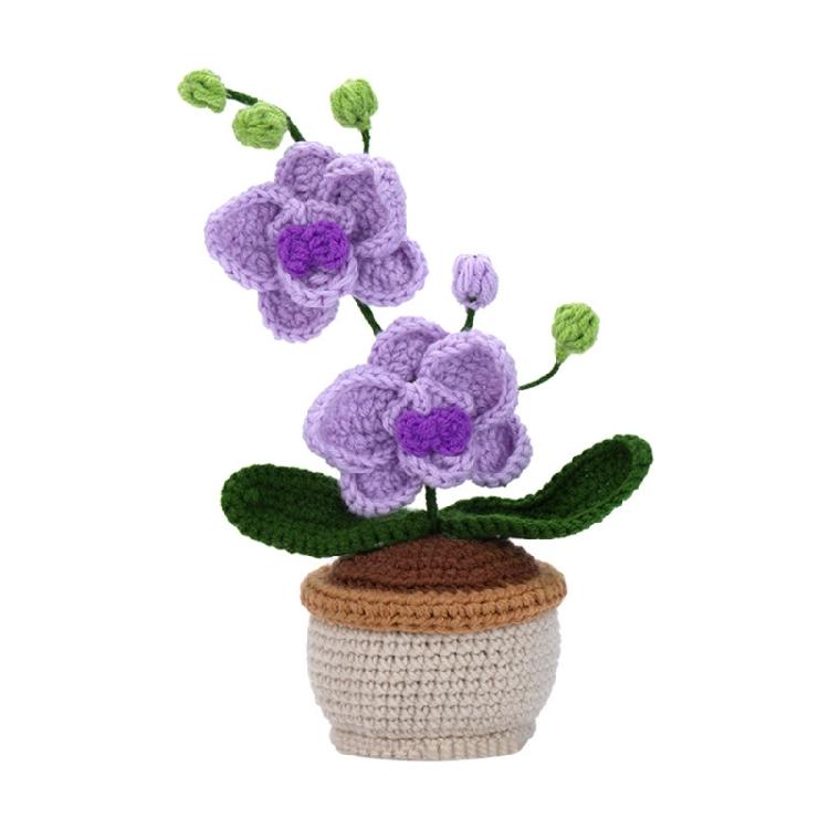 

Complete DIY Potted Plant Crochet Kits, Incluing Crochet Hook, Yarns, Needle, 1