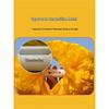 Cheerleading – Pompons