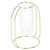 Transparent Hydroponic Plant Vases Flower Pot Tabletop Home DecorationsGold