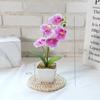 White Flower Pot Artificial Orchid Bonsai Multi-Bloom Plastic Fake Flower  Home Decor
