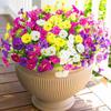 8pcs Artificial Flowers With Uv Protection Indoor And Outdoor Simulation Flowers Decoration Courtyards And Seasonal Celebrations