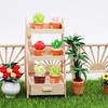 1:12  Dollhouse Wood Shelf Flower Stand Mini Furniture Model Toys