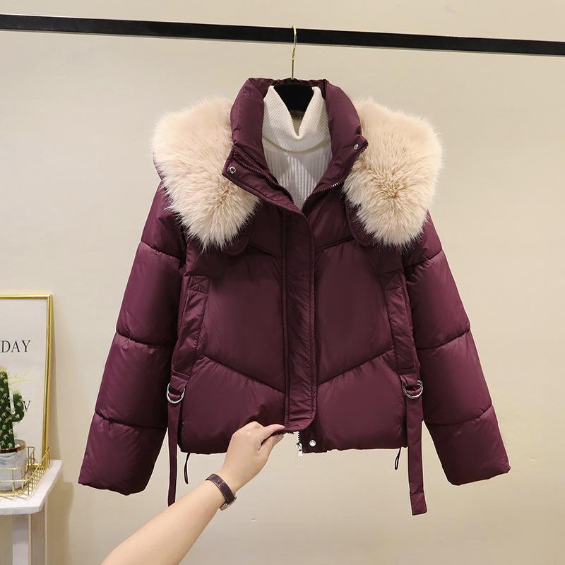 Winter new good-looking fur collar padded jacket women's fashion short loose padded jacket