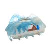 Summer Acetate Hair Clip Spring Special-shaped Grab Clip Sweet Four Seasons Hair Claw  Girls