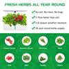 Hydroponisches Anbausystem für den Garten, 12 Pods, Kräutergarten-Set für den Innenbereich, mit Vollspektrum-LED-Wachstumslichtern, Timer, Pflanzenkeimungsset