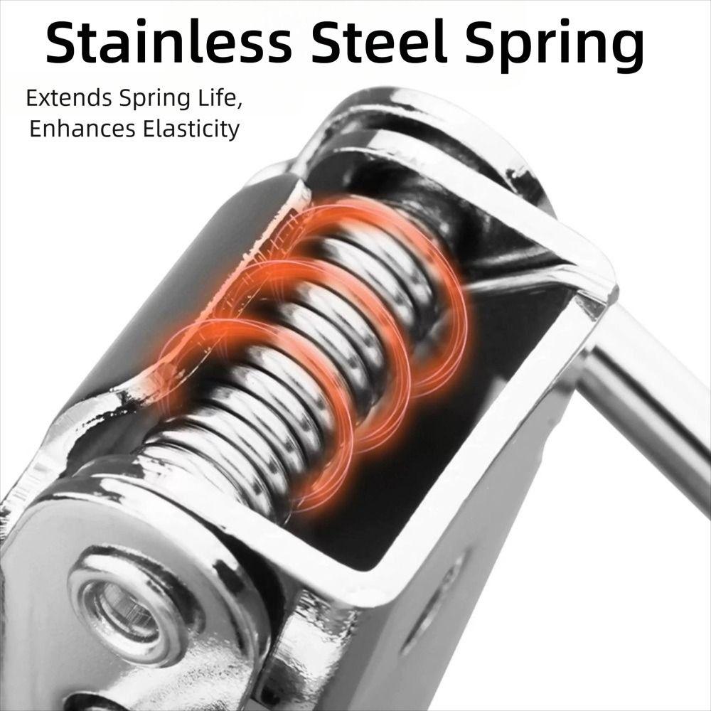 Home Hardware RVS Veerbelast Sluiting Zilver Duurzaam Veer Sluiting Toggle Sluiting Houten Doos