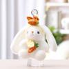Plush Bunny Toy Girl Gift With Soft Fabric For Girls And Collection