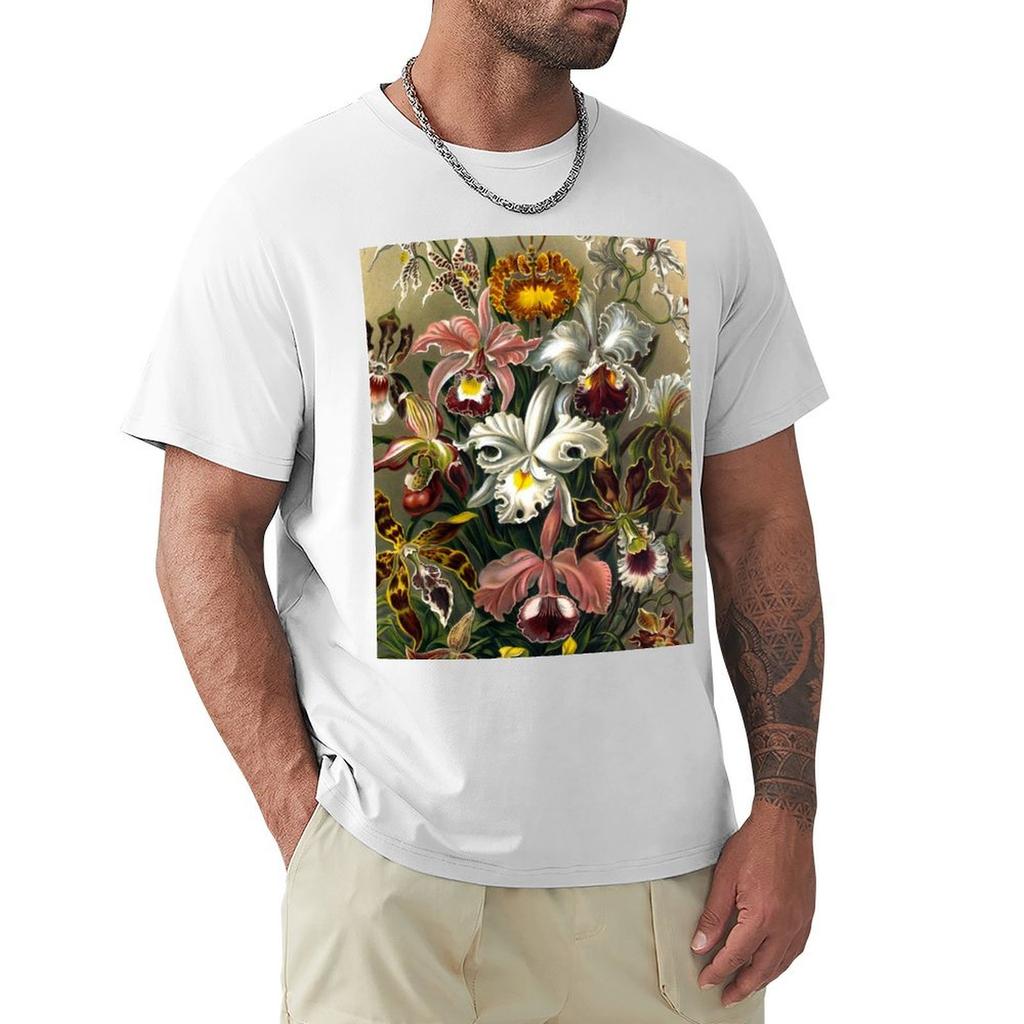 Plate 74 Orchidae Orchidaceae the family of orchids TShirt aesthetic clothes anime stuff baggy shirts mens tall t shirts