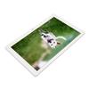 Digital Photo Frame Multifunction 10.1inch IPS HD Screen Support Slide Show Electronic Picture