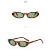 Women's sunglasses - unisex retro small frame cat eye sunglasses
