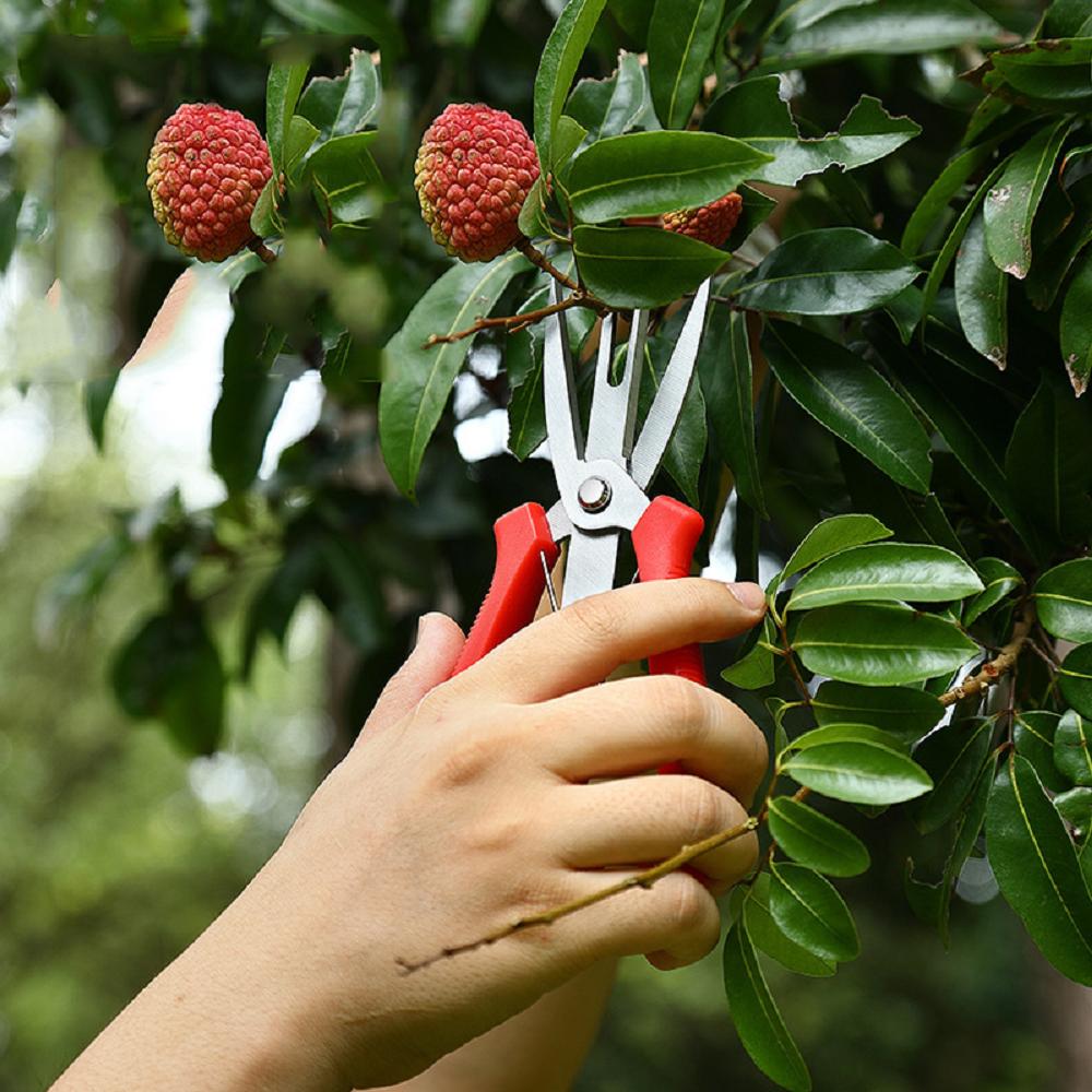 Agriculture Thinning Scissors Flowers Thinning Shears Multi-use Pruning Tools Double-port Fruit Trees Flowers Thinning Shears