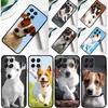 Jack Russell Terrier Dog Cover For Samsung Galaxy M32 M52 M12 M13 M33 M23 M53 M15 M55 M31 M51 M14 M34 M54 M20 Case