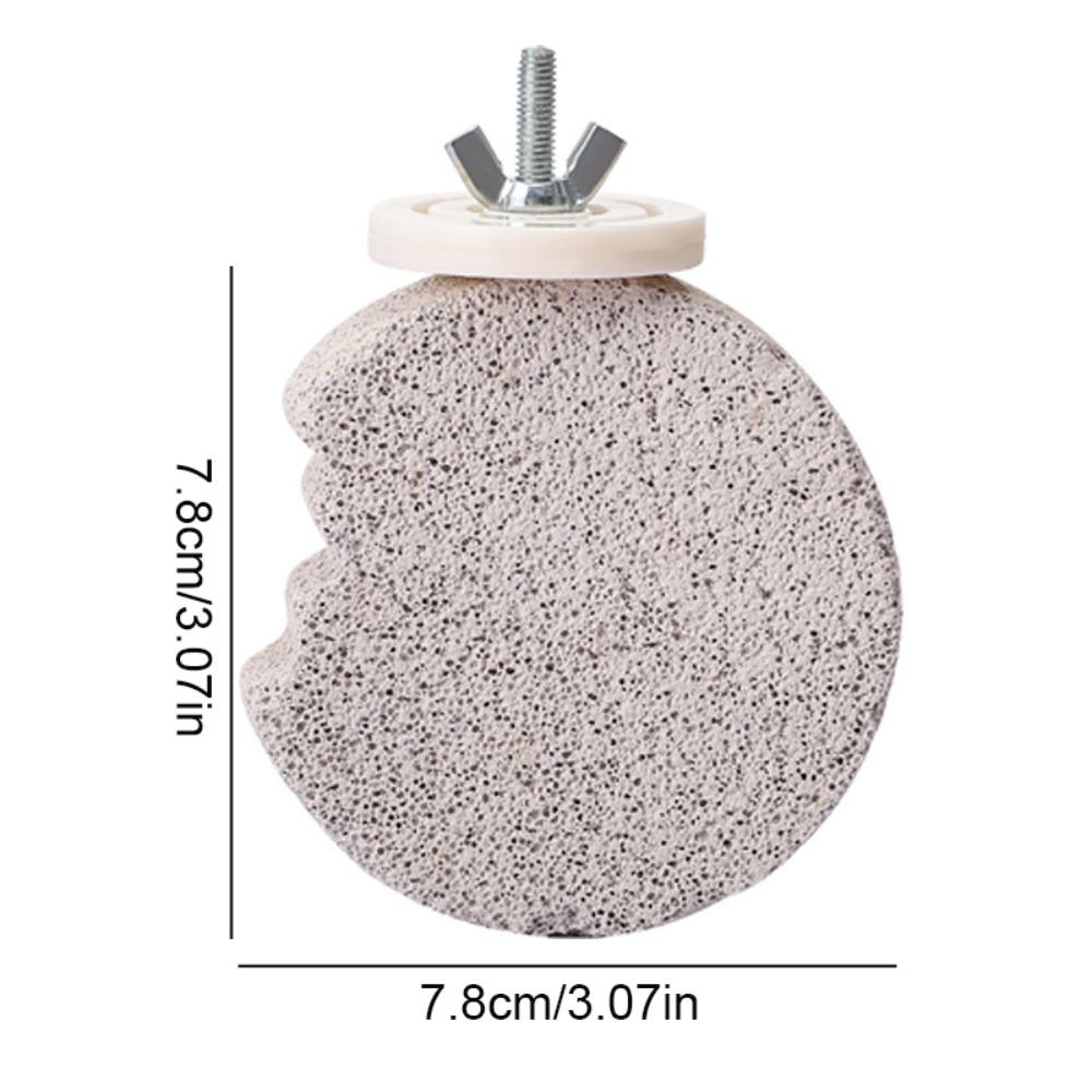 Pumice Bird Perch Stand Claw Grinding Bird Resting Platform Sturdy Parrot Stand Board  Lovebirds