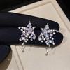 Exquisite Silver Cubic Zirconia Star Stud Earrings - Elegant Niche Design