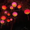2026 Waterproof Red Lanterns for Outdoor Spring Festival Tree Decorations