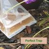Snails Slugs Traps 20pcs Garden Snail Controllers Snail Cages Insect Traps Garden Disposable Snail Trap Catcher Bags 2025