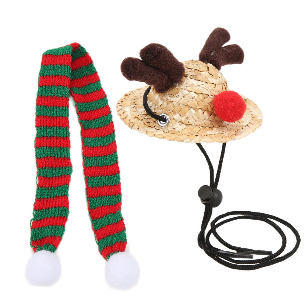 Bartagame Weihnachtsmannmütze Schal Reptil Verstellbar Stroh Elch Hut und Schal Weihnachtskostüm für
