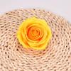 Rose Head Artificial Flowers for Arrangement Decoration 5 pcs - Orange