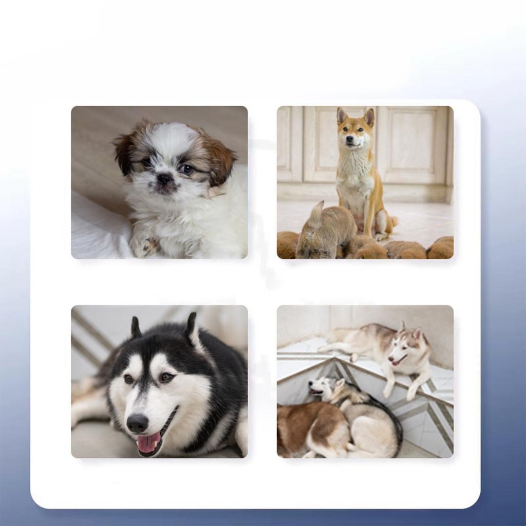 Haustier Hund Induktor, Einfache Anleitung, Haustier Pipi An Einer Festgelegten Stelle, Hundezubehör Positionierung Defäkationsinduktor Welpentraining Pipi-Unterlagen 60ml