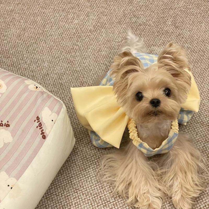 Pet clothes spring and summer dog cat bow cute dopamine skirt than bear schnauzer maltese princess skirt