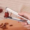 ZISIZ Stainless Steel Fruit Pitter