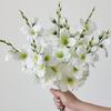 2pcs 55cm Artificial Flowers Fake Daffodil Magnolia Flower Silk Flowers For Home Living Room Wedding Table Decoration Romantic Theme, Valentine Day