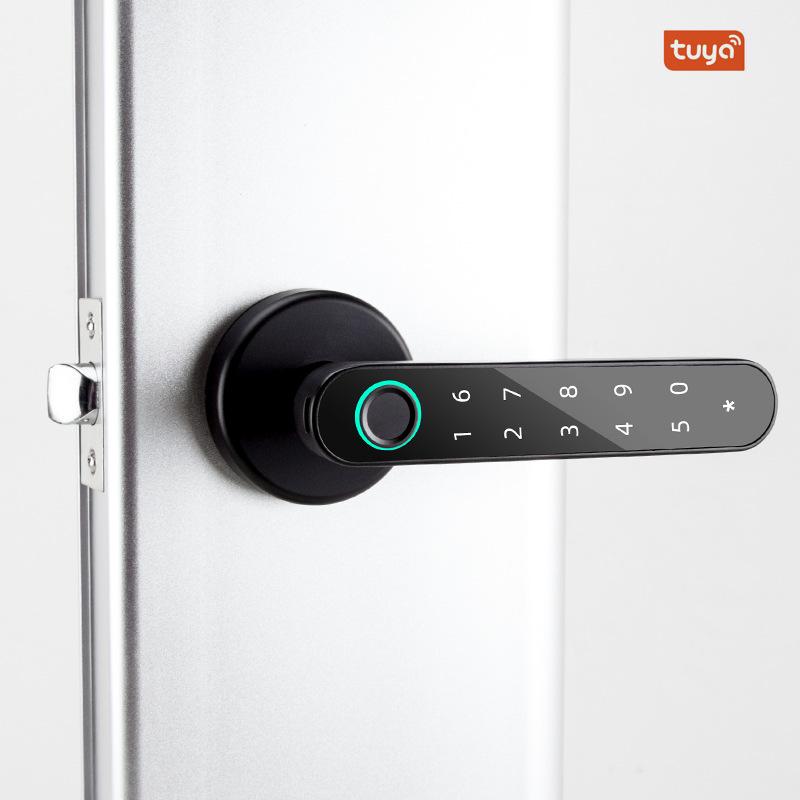 Tuya Smart Spherical Password Lock: Semi-Automatic Fingerprint Lock for Home or Office Doors.