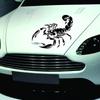 Accessori Decorativi per Auto-Badge Decalcomania Cofano Adesivi Scorpione 3D Nero/Bianco