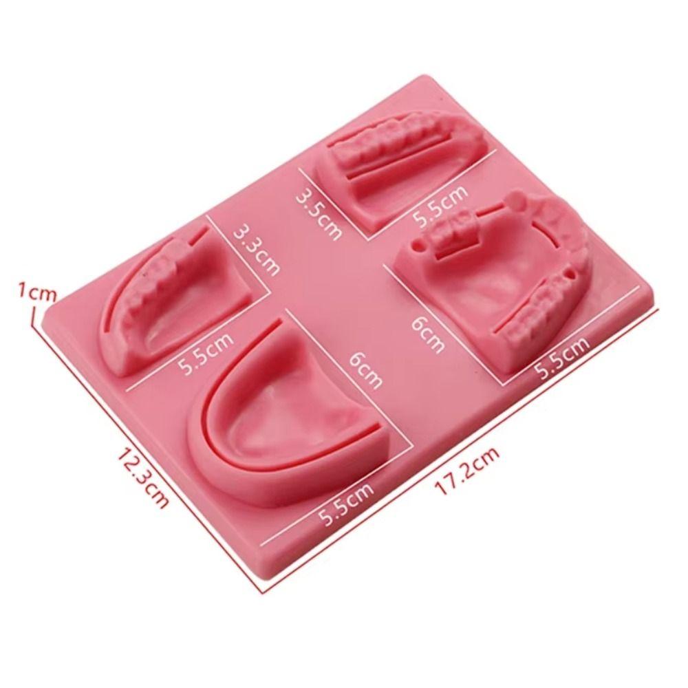 Suturing Practice Dental Teaching Model Gingival Suture Training Model  For Dentisit Teaching
