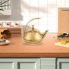 Stainless Steel Tea Kettle 1.5L Ergonomic Handle Induction Compatible Fine Mesh Filter Teapot for Loose Leaf Tea Home Office