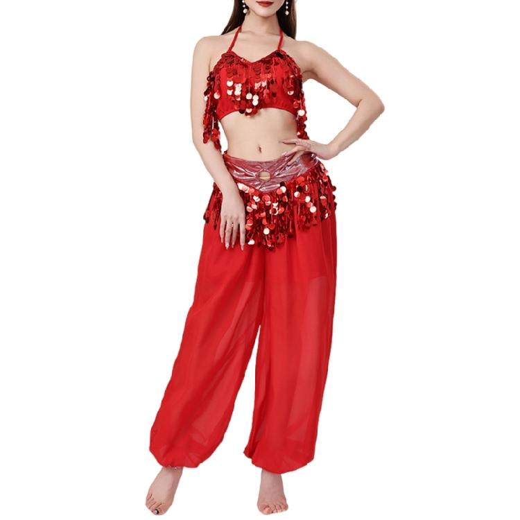 Belly Dance Costume Set Belly Dance Bra Top Belly Dancing Trousers Halloween Belly Dance Outfits for Stage Performances