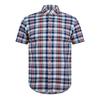 Ralph Lauren Mens Checked Oxford Regular Shirt