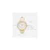Fieldwork Women's Analog Watch Yellow Simple Leather Strap Easy To Read MKL2012-3